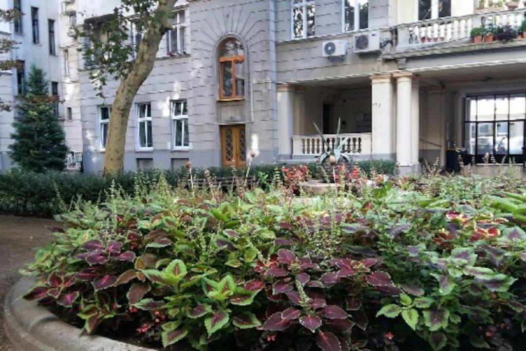Gorgeous Flat Right Near The City Center 布达佩斯 外观 照片