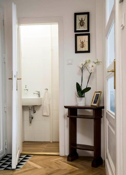 Gorgeous Flat Right Near The City Center 布达佩斯 外观 照片